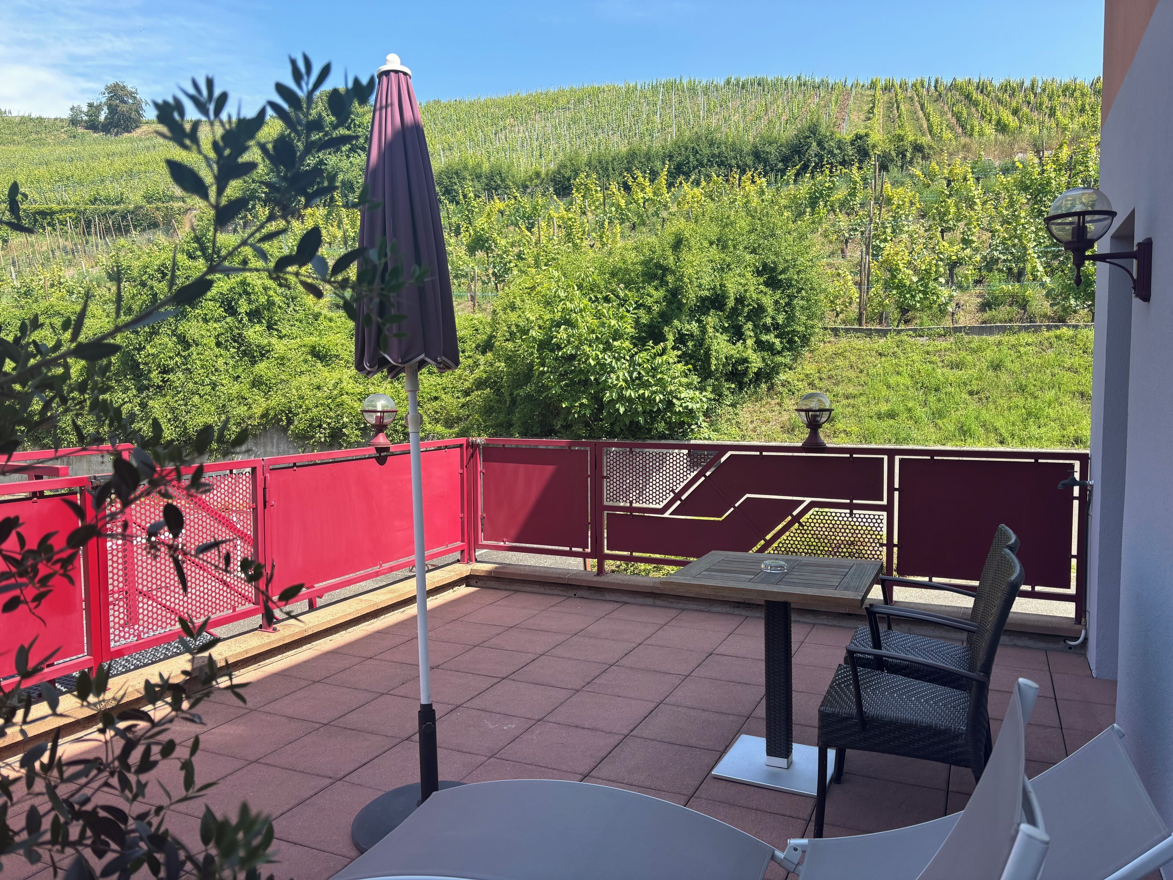 A terrace with a table and chairs, a red fence, and a view of a vineyard.