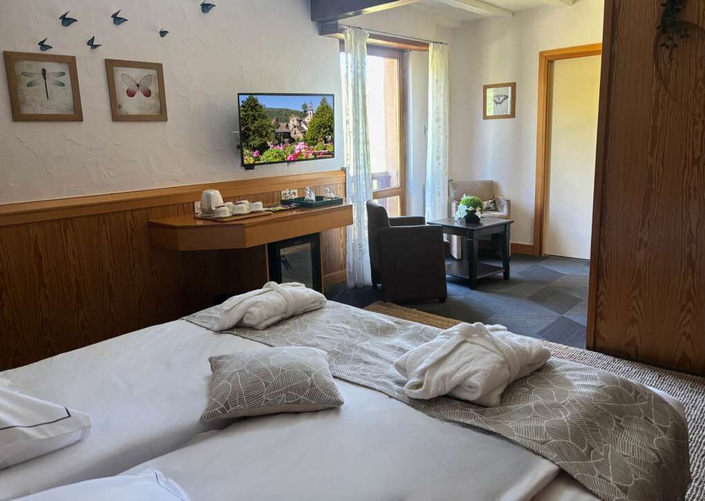 Habitación de hotel con dos camas, un escritorio con silla, televisión y vista a un jardín por la ventana.