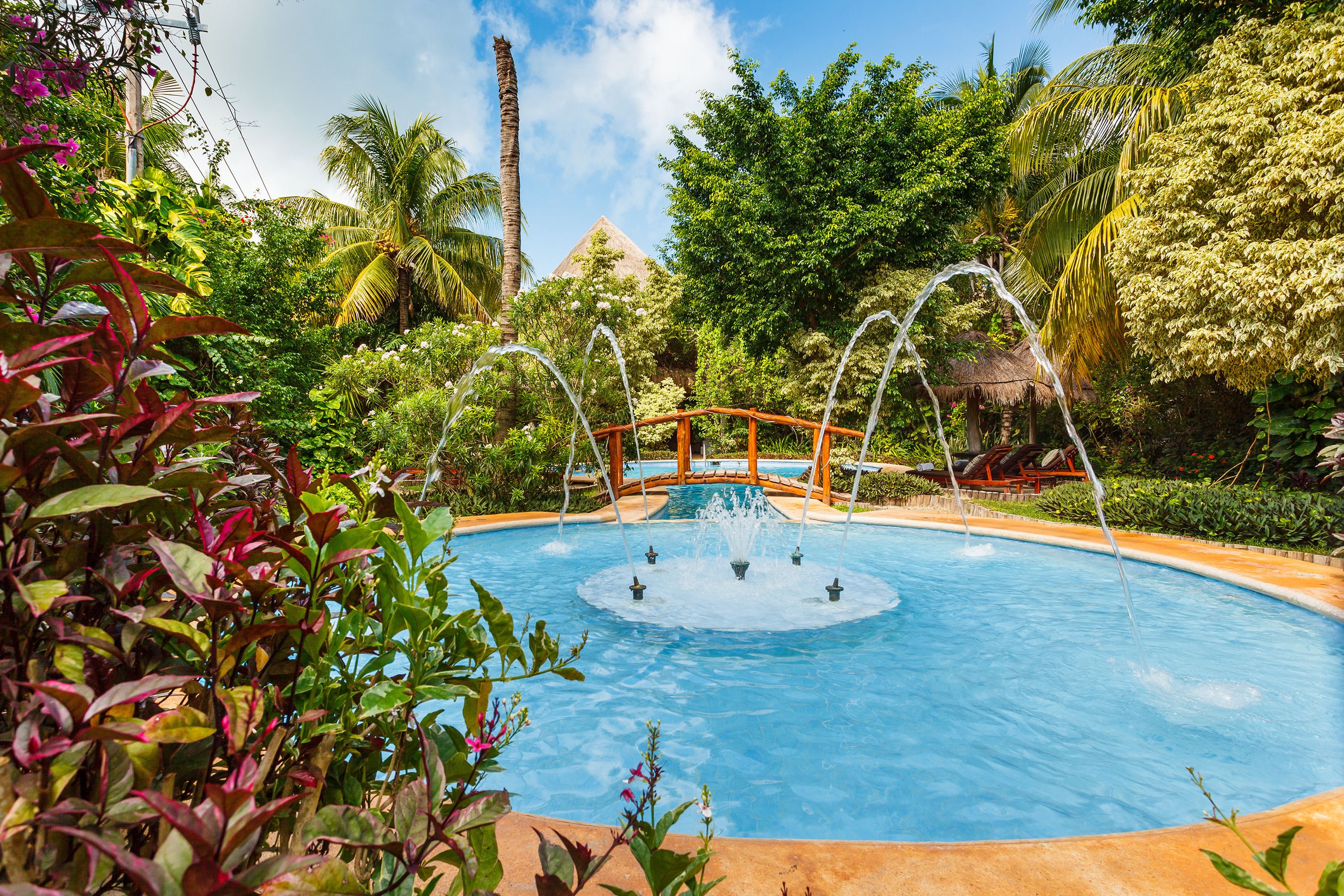 outdoor pool, pool umbrellas, pool loungers