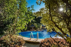 Outdoor pool, pool umbrellas, sun loungers