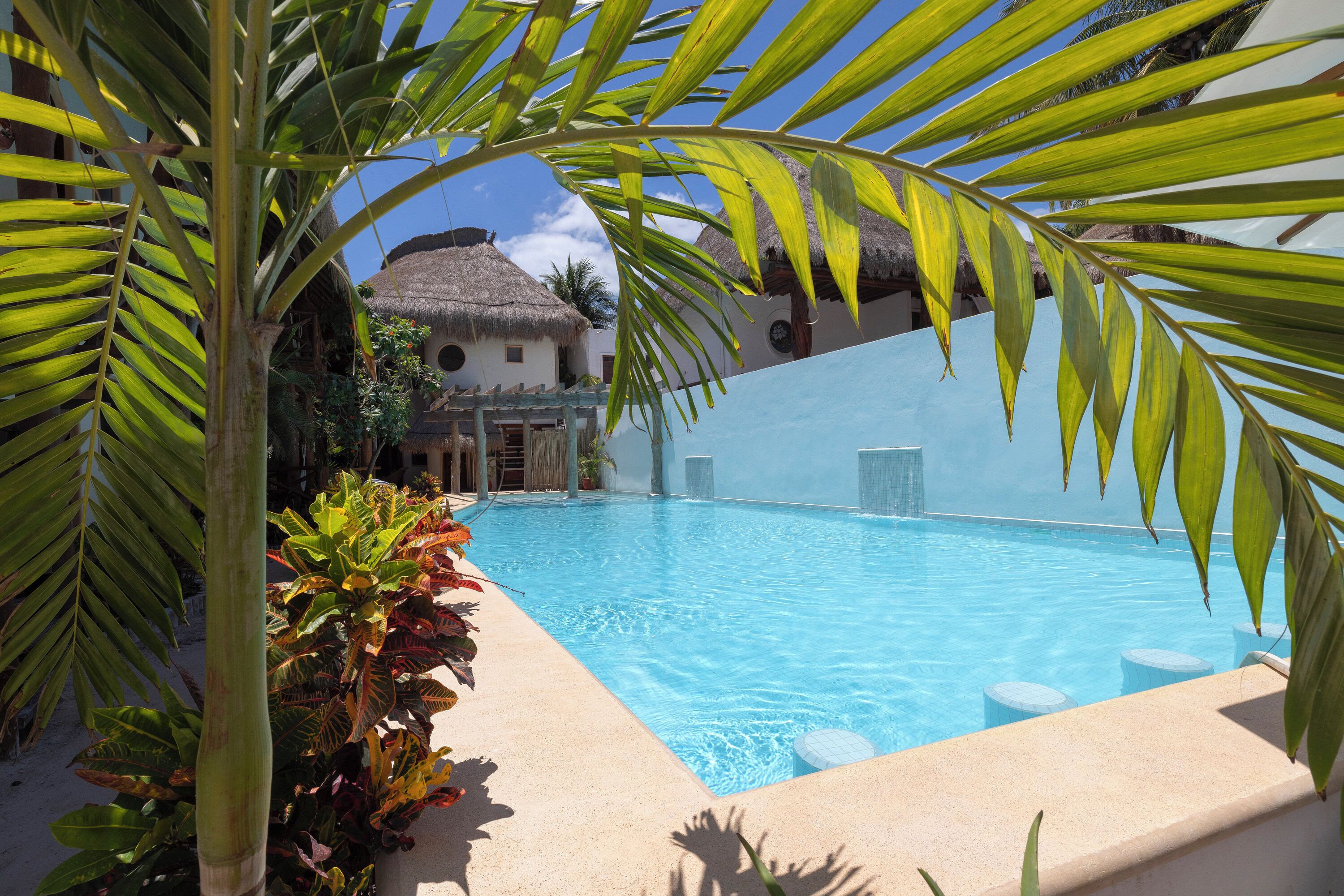 Una piscina rodeada de plantas tropicales y edificios con techos de paja.