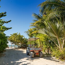 En la playa, playa de arena blanca y camas de playa gratuitas