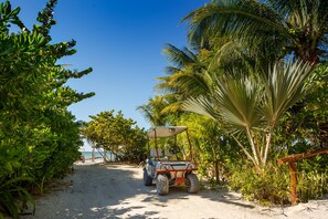 Un véhicule de golf est garé sur un chemin de sable, entouré d’une végétation luxuriante et de palmiers.
