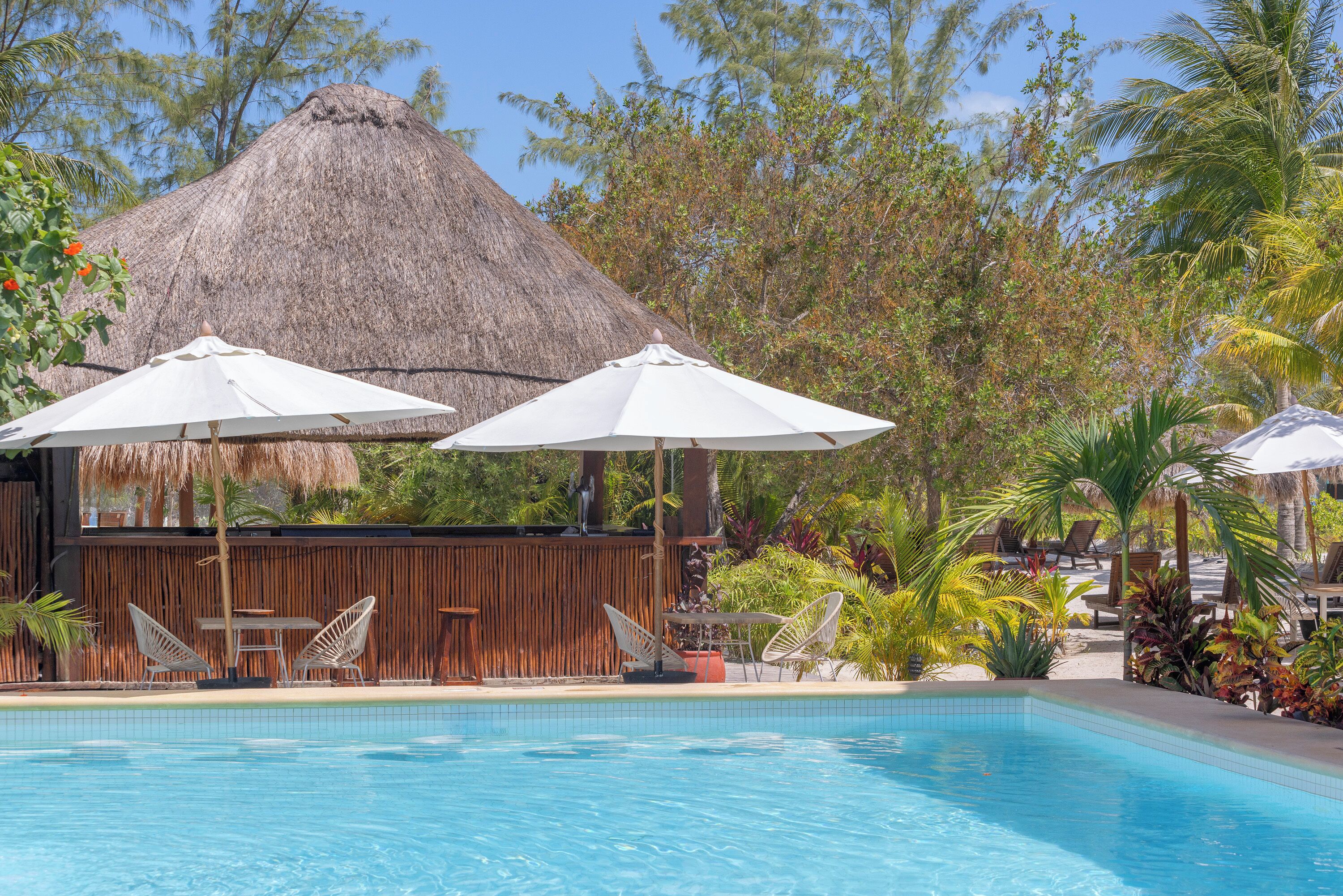 Una piscina con lettini e ombrelloni, circondata da vegetazione tropicale e una struttura con tetto di paglia.
