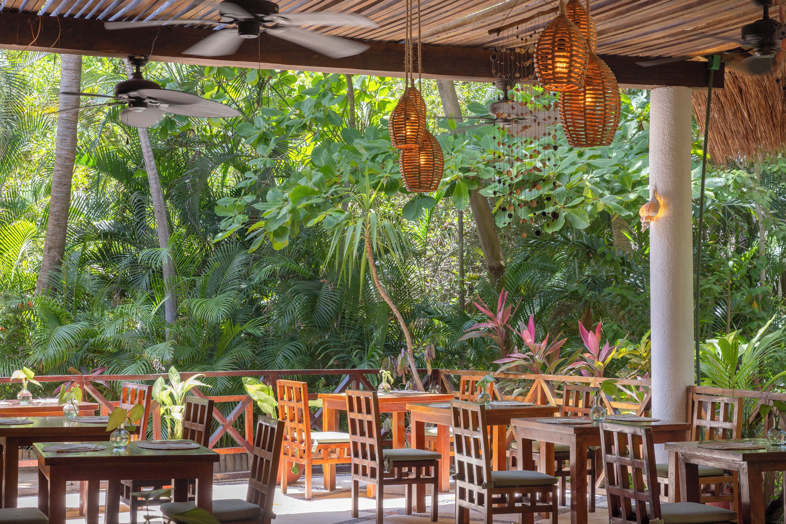 Un área de comedor al aire libre con mesas y sillas de madera, rodeada de exuberante vegetación.