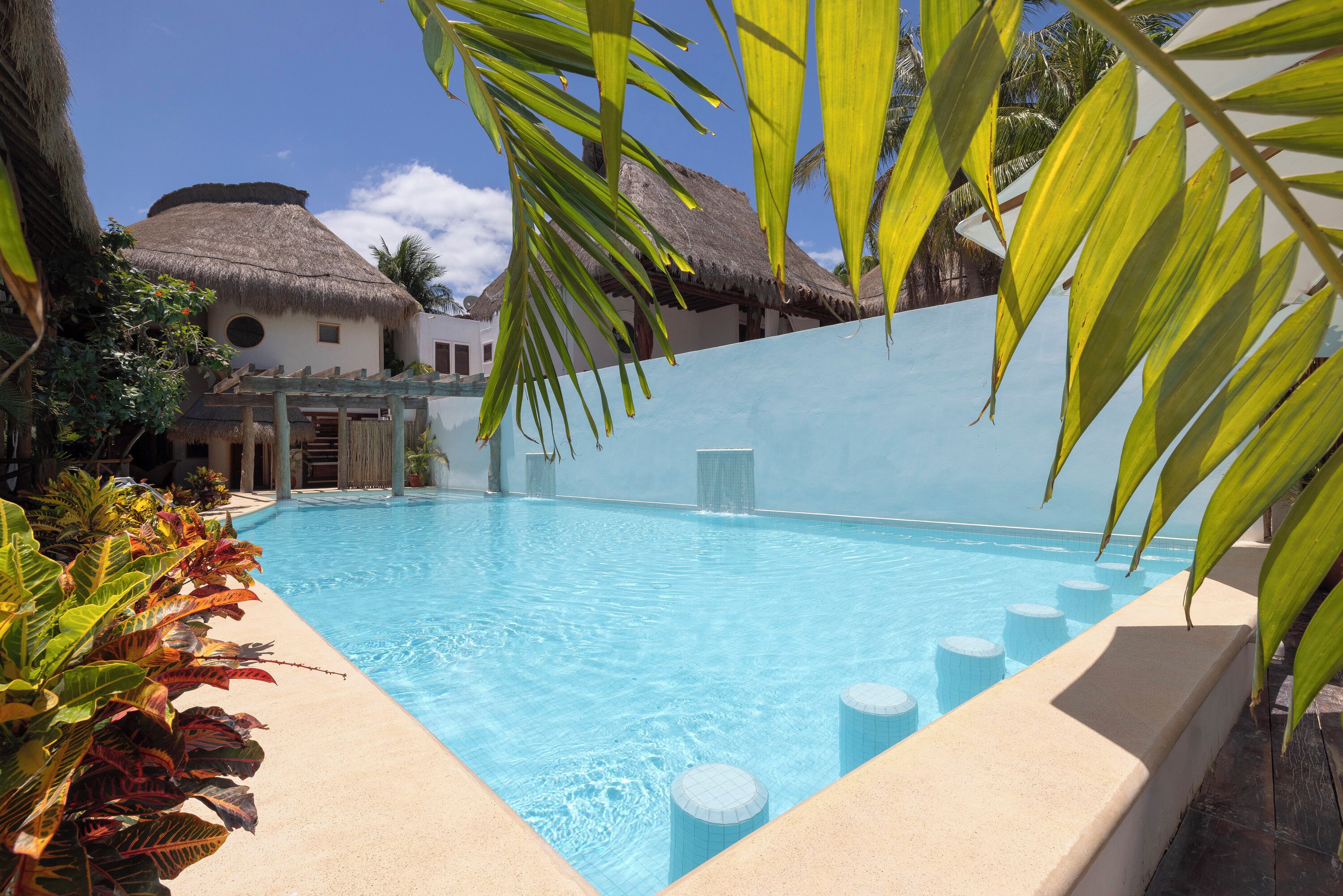 Une piscine à l’eau claire, entourée de plantes tropicales et de bâtiments aux toits de chaume.