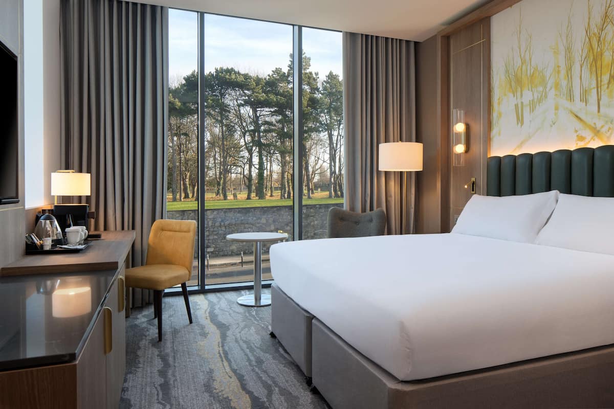 A hotel room with a large bed, a desk with a chair, a small table, and a view of a park through large windows.