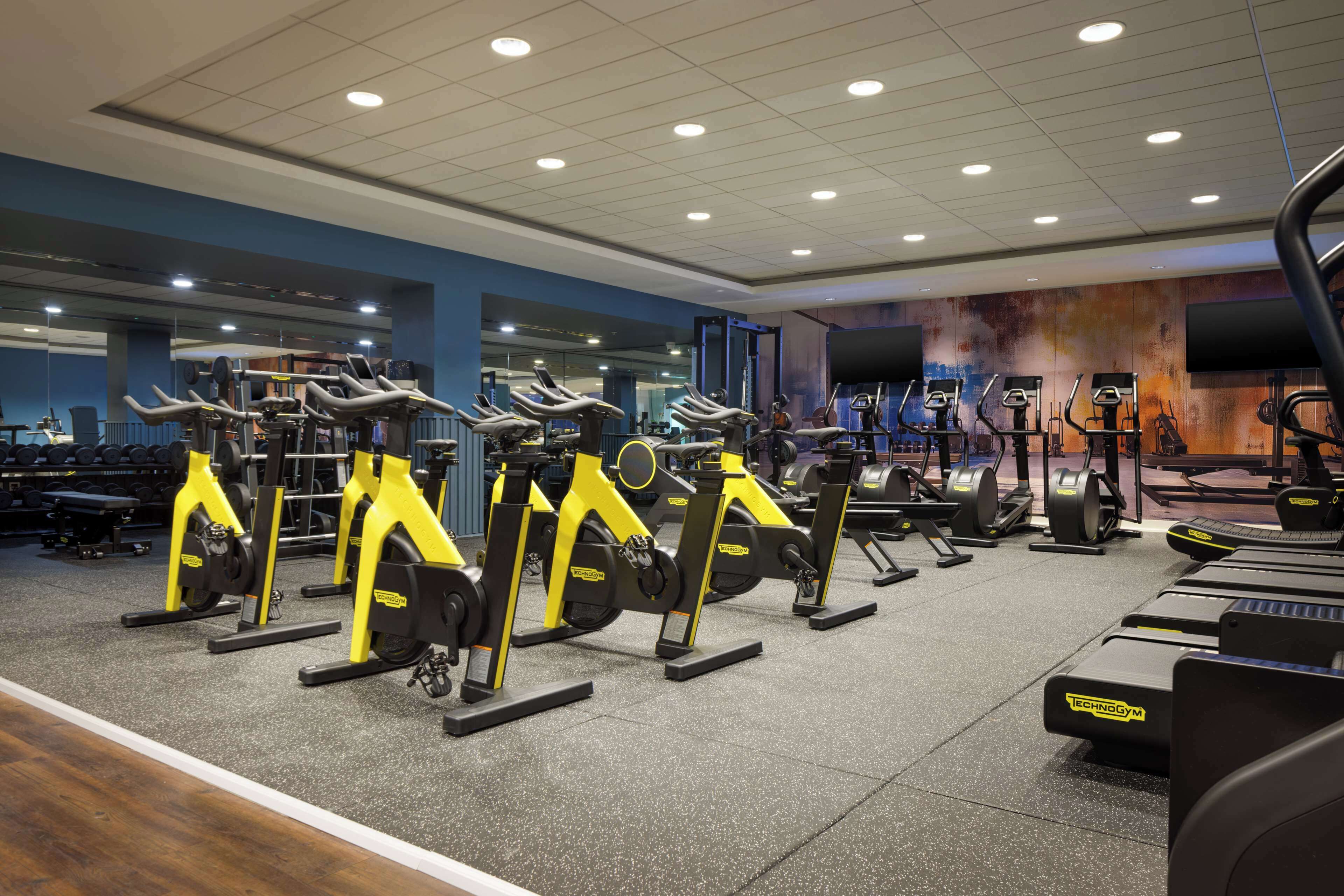 A gym with multiple exercise machines, including treadmills and elliptical trainers, arranged in rows.