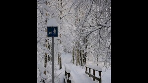A snow-covered path with a sign indicating a dog walking area. - Hotel Hermica (Tampere)