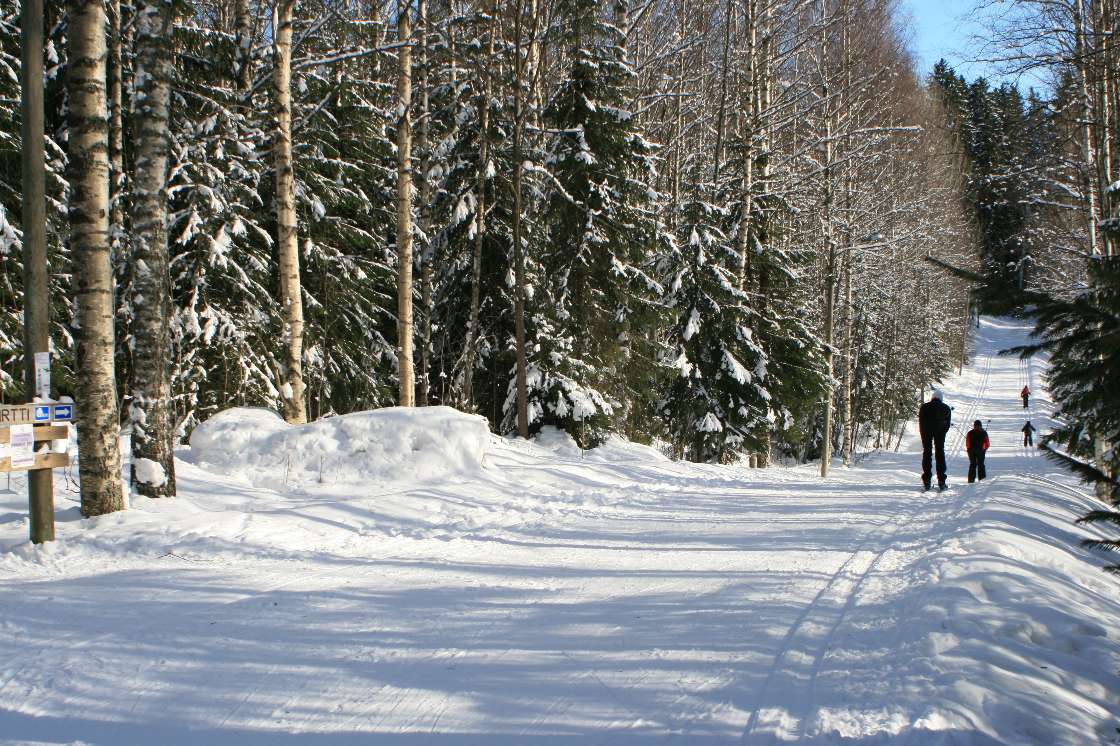 A snow-covered path with trees on both sides, a signpost, and people walking.