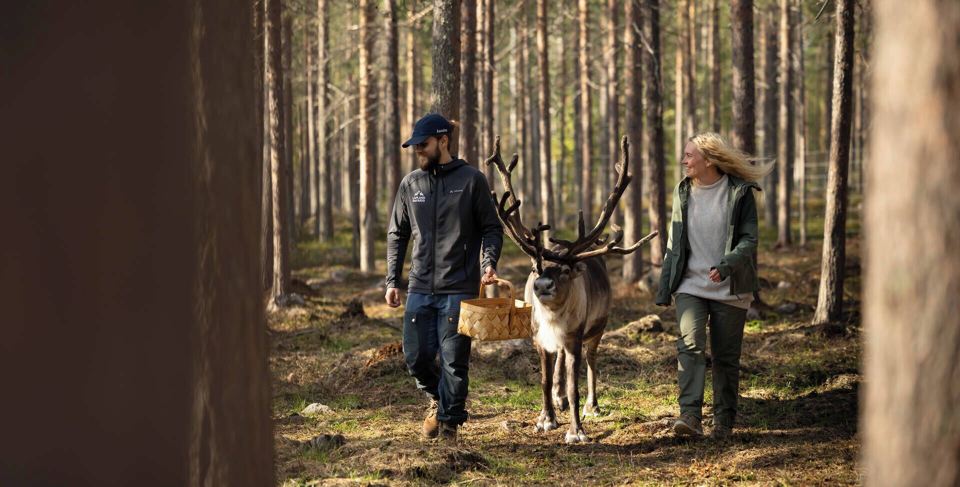 Metsämaisema, jossa mies ja nainen kävelevät poron kanssa.