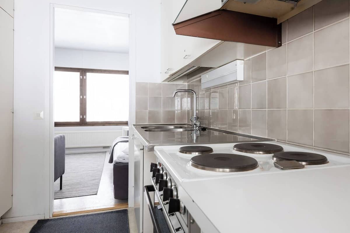 economy apartment, 2 bedrooms, kitchen | private kitchen