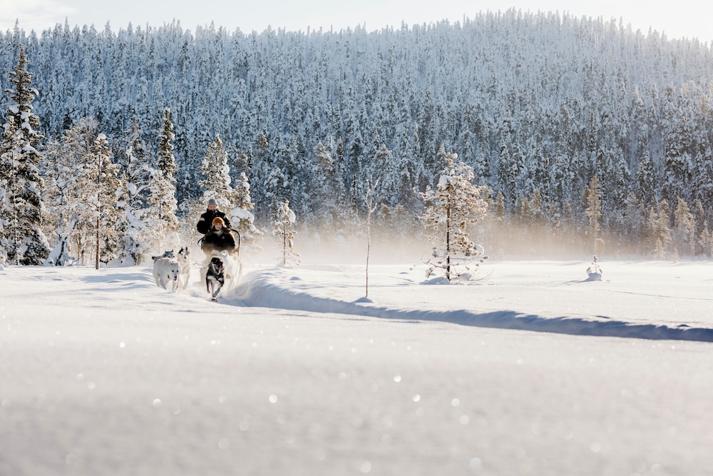 Lapland Hotels Hetta by null