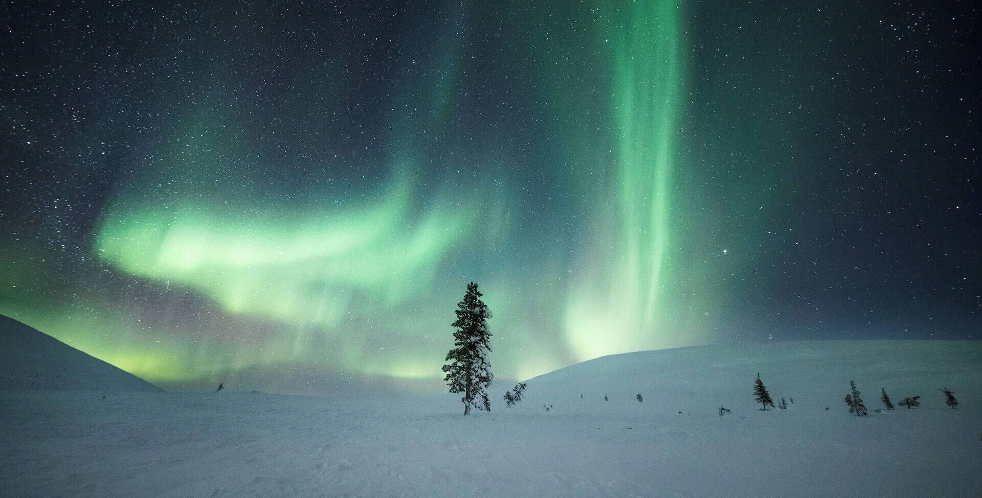 land view from property