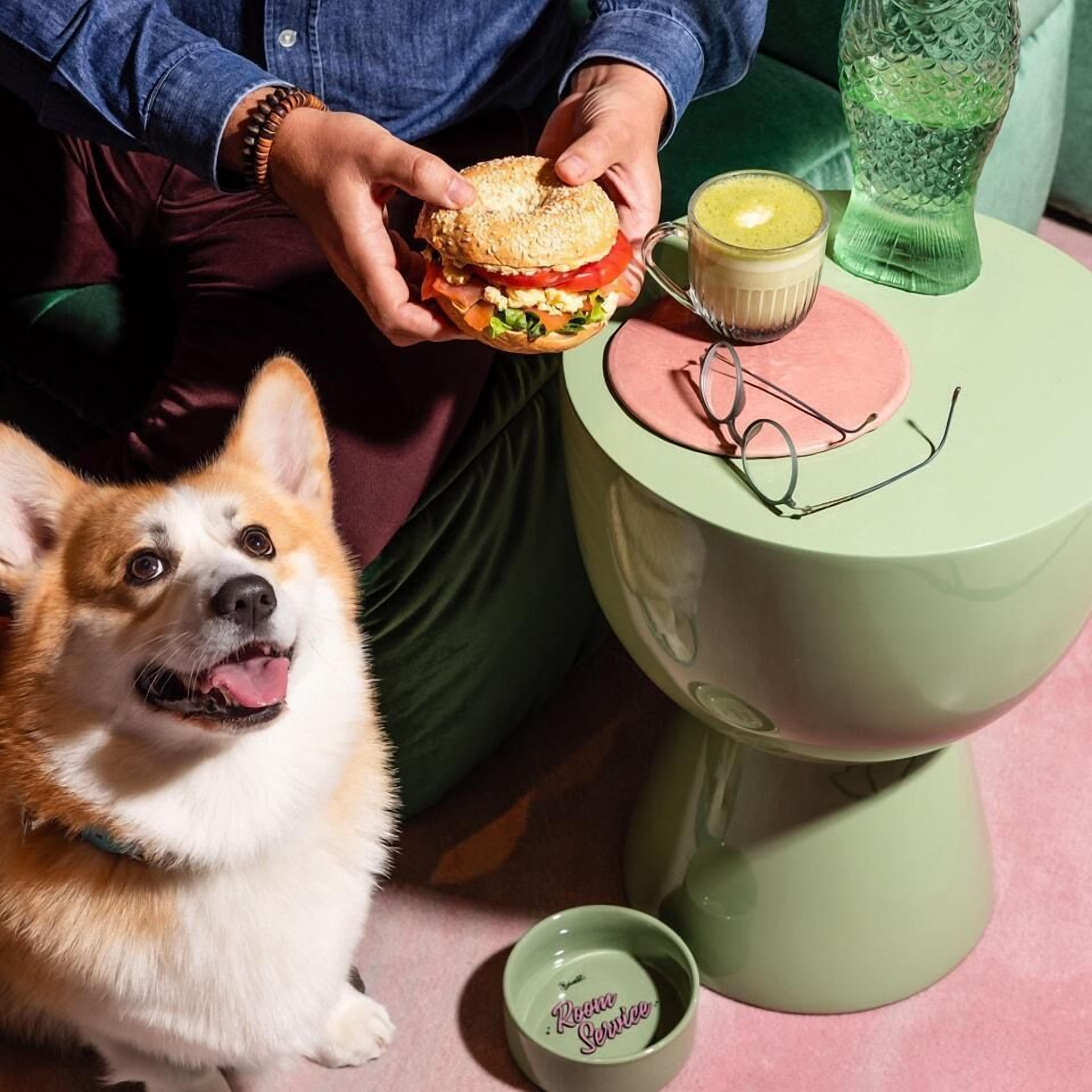 Una persona sostiene un sándwich, un vaso de una bebida amarilla y un par de gafas sobre una mesa verde. Un perro está sentado junto a la mesa.