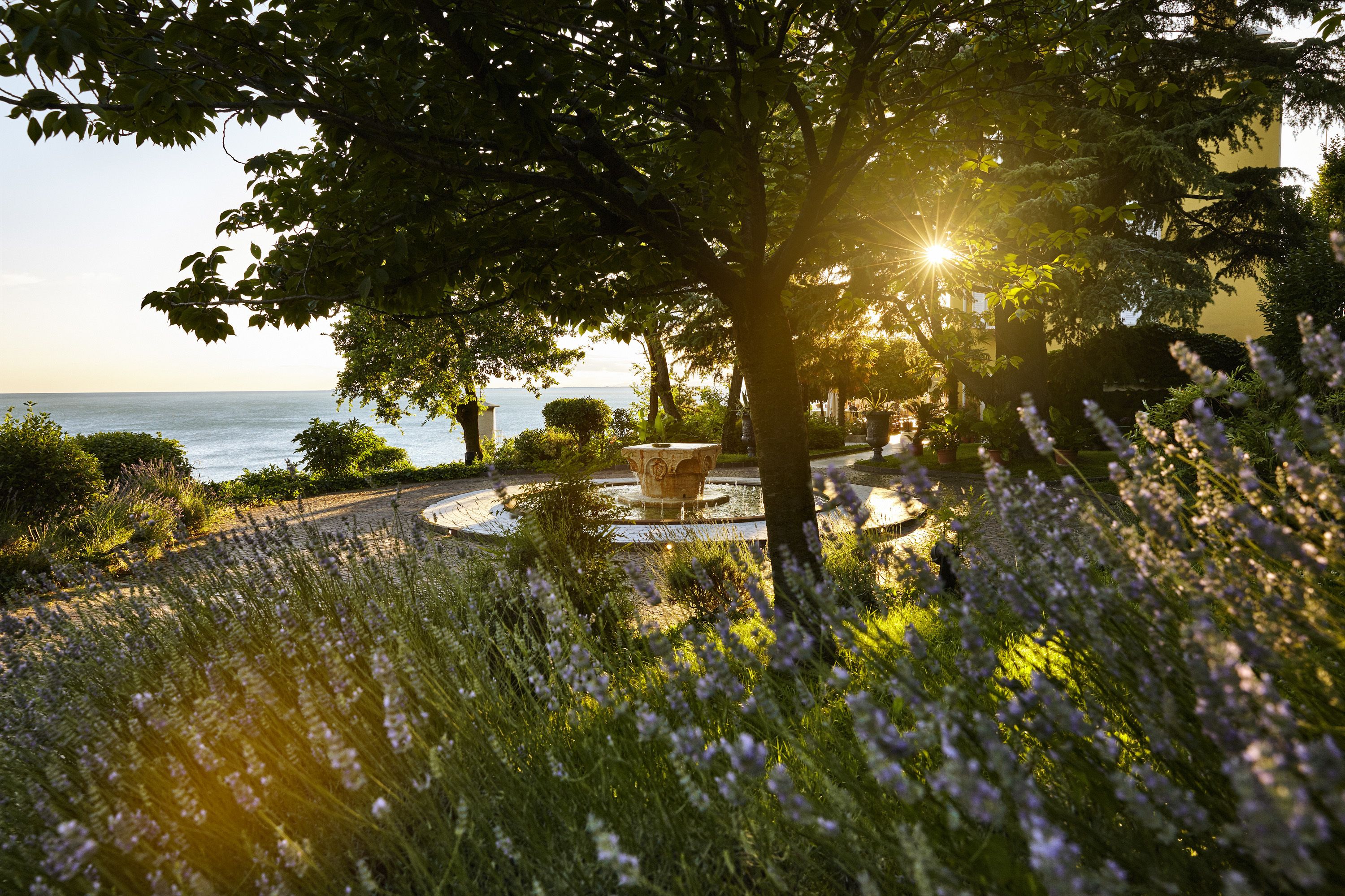 Un jardín con una fuente, rodeado de árboles y plantas de lavanda, con vista al mar.