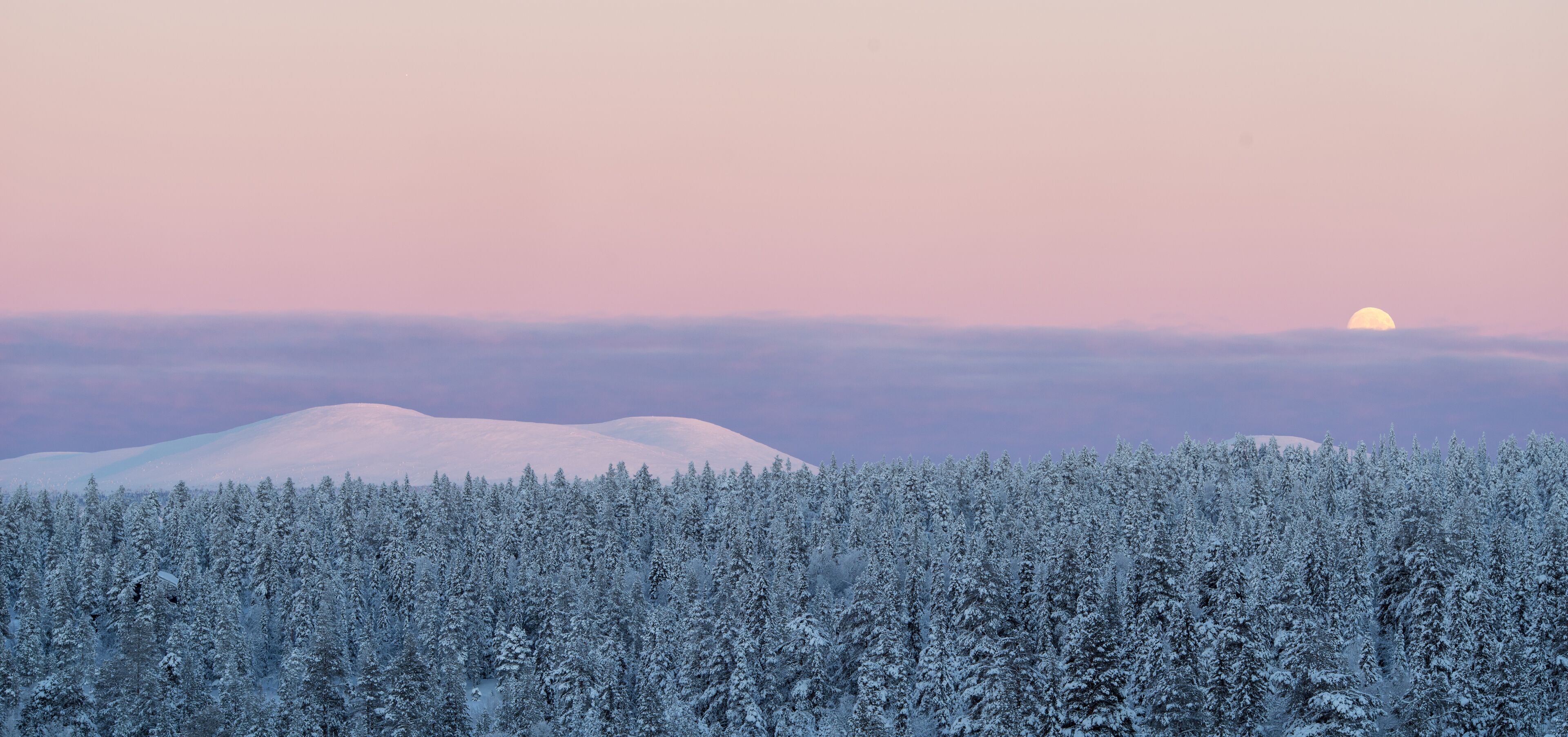 Une forêt enneigée, avec une montagne en arrière-plan et un soleil se couchant ou se levant.