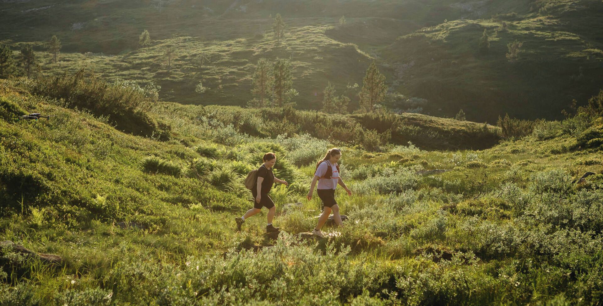 Two people hiking in a grassy, hilly area with sunlight filtering through the trees.
