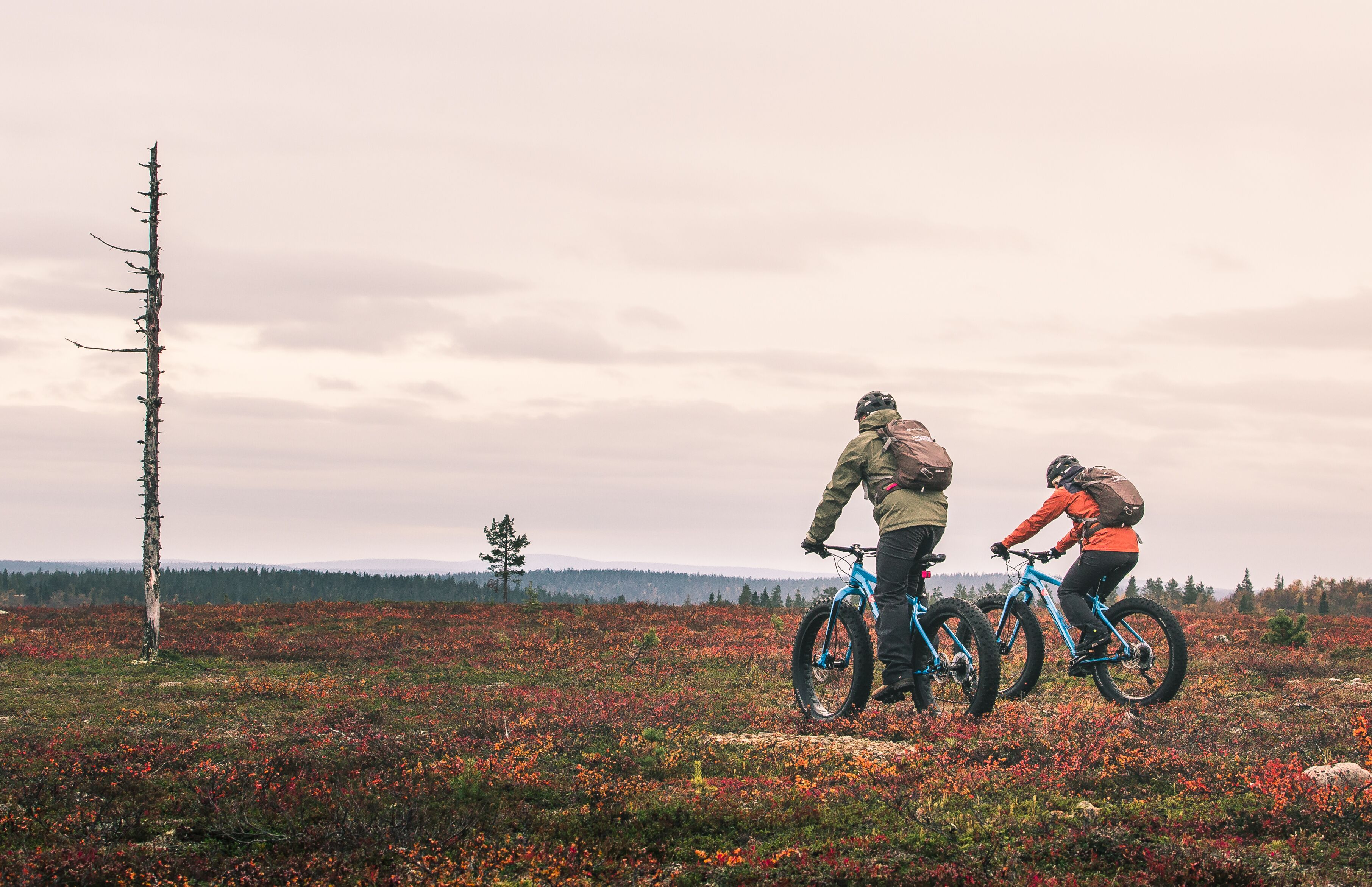Två personer på mountainbikes i ett fält med ett dött träd och en molnig himmel.