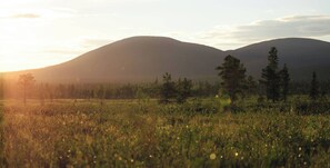 A field with mountains in the background.