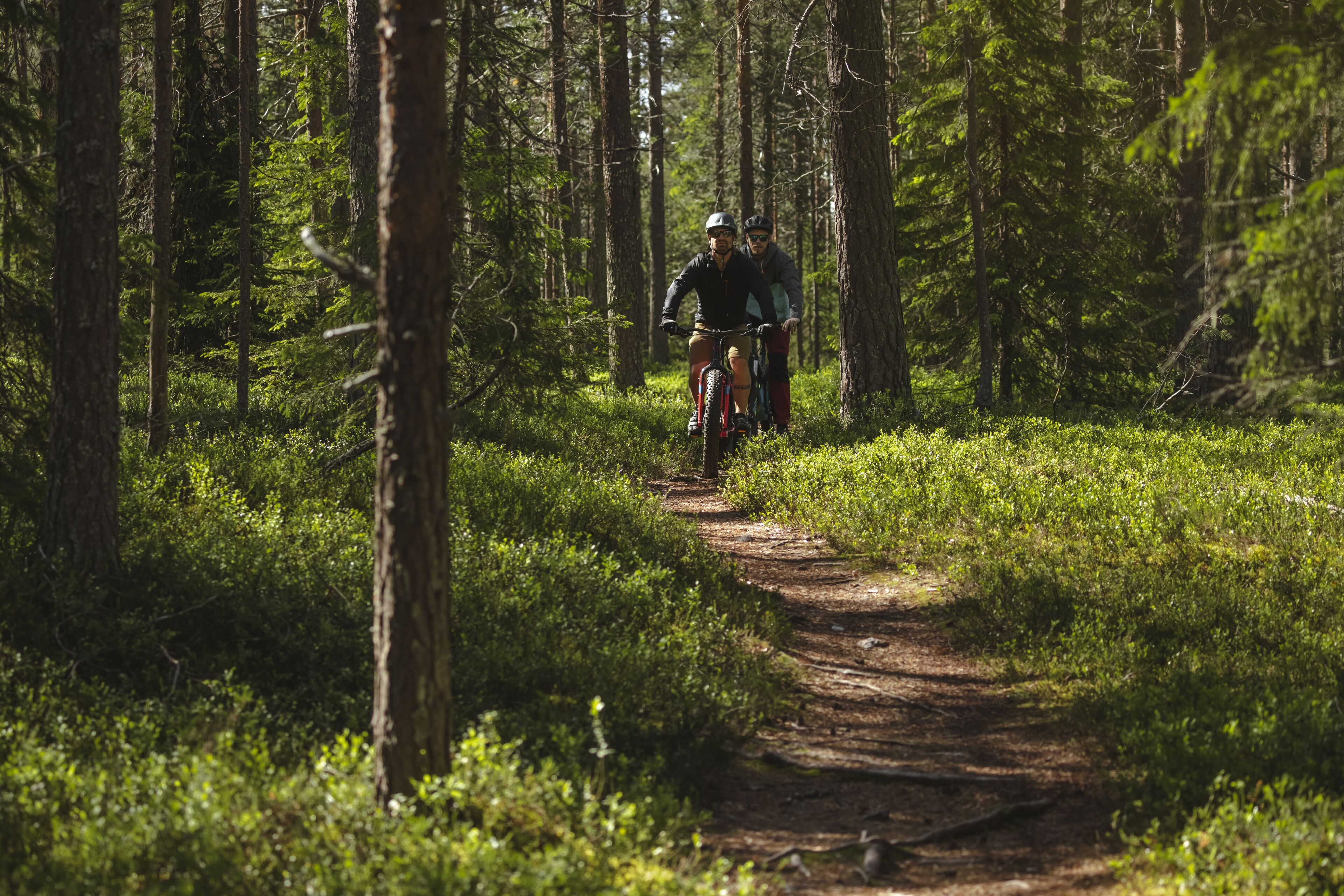 A forested path with two cyclists.