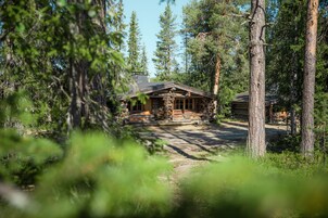 Estudio, sauna | Escritorio, espacio para trabajar con un portátil, cunas (de pago)