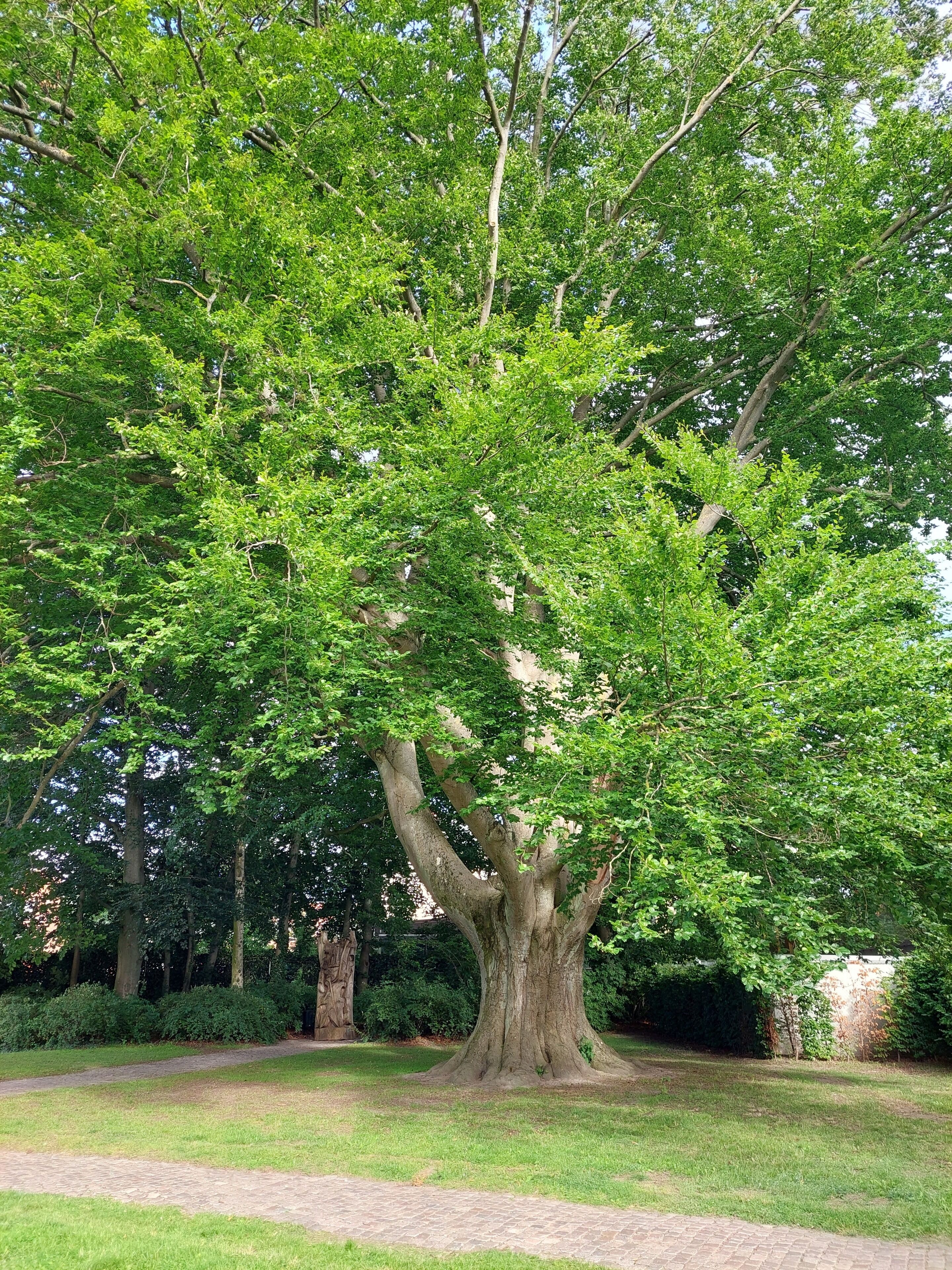 Photo - Hotel Bishops Arms Lund