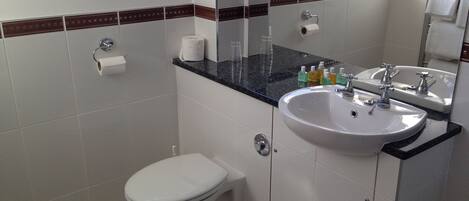 Une salle de bain avec des toilettes, un lavabo et un miroir.