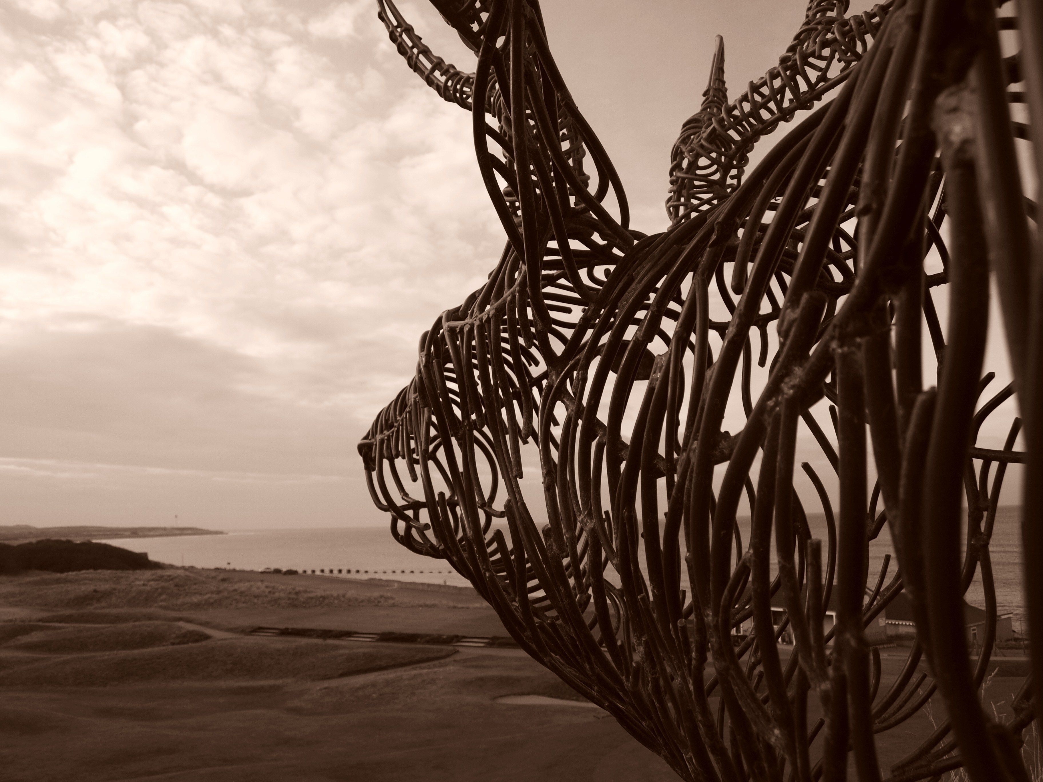 A close-up of a metal sculpture with intricate loops and curves, set against a backdrop of a cloudy sky and a distant shoreline.