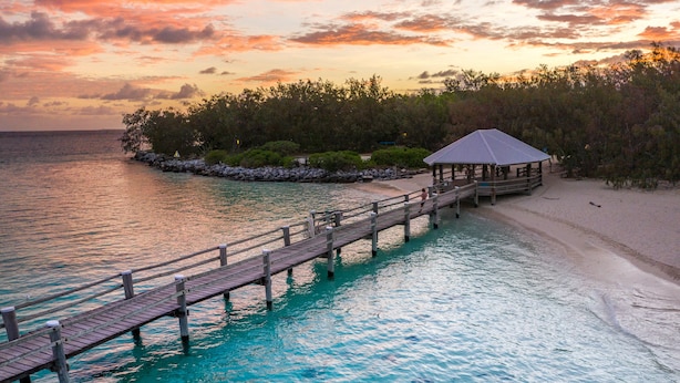 A wooden pier leading to a covered structure by a turquoise sea with clear water and visible marine life.