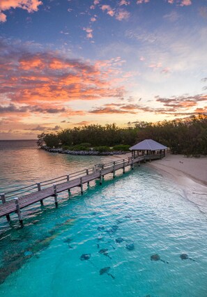 A wooden pier leading to a covered structure by a turquoise sea with clear water and visible marine life.