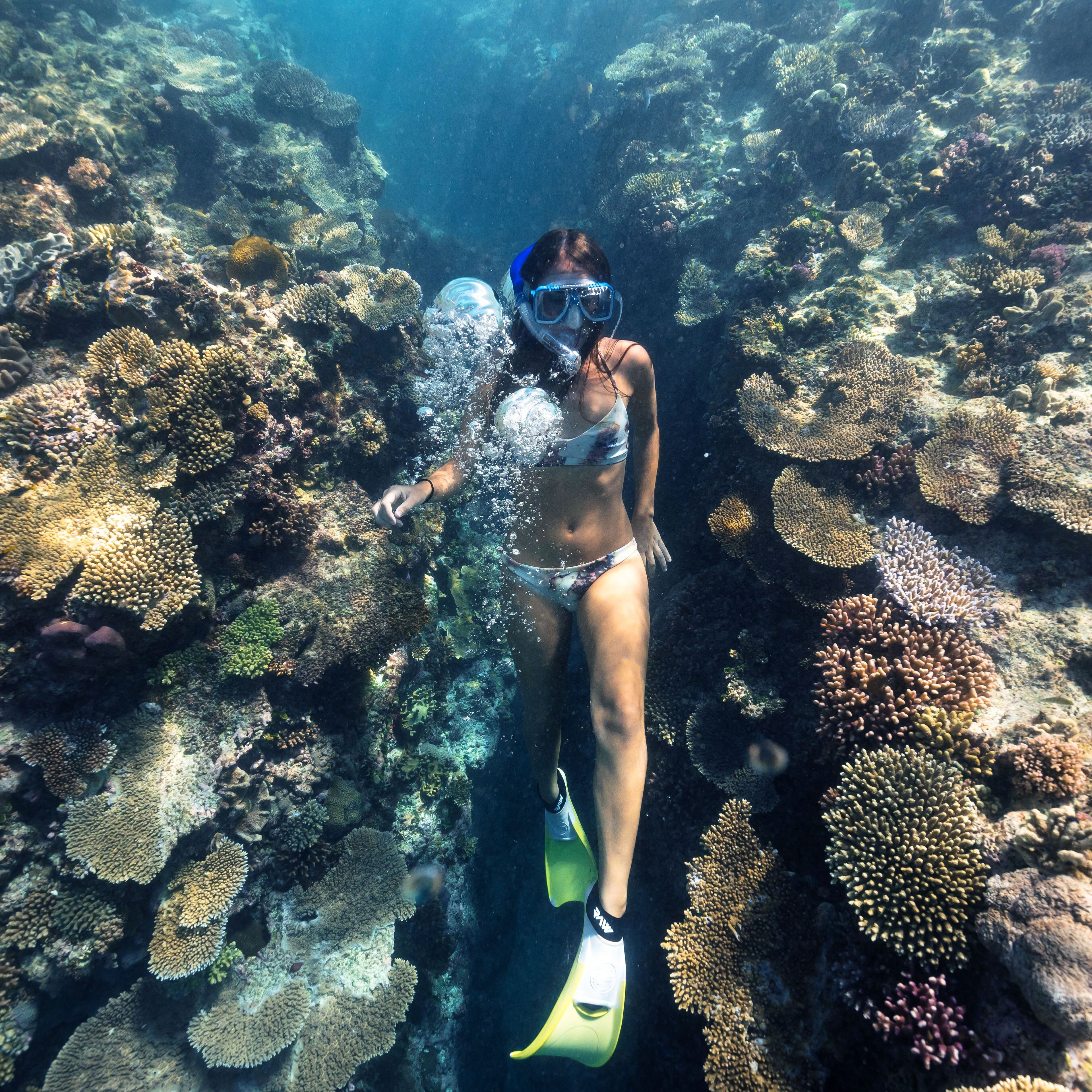 Eine Person beim Schnorcheln unter Wasser, umgeben von Korallenriffen.