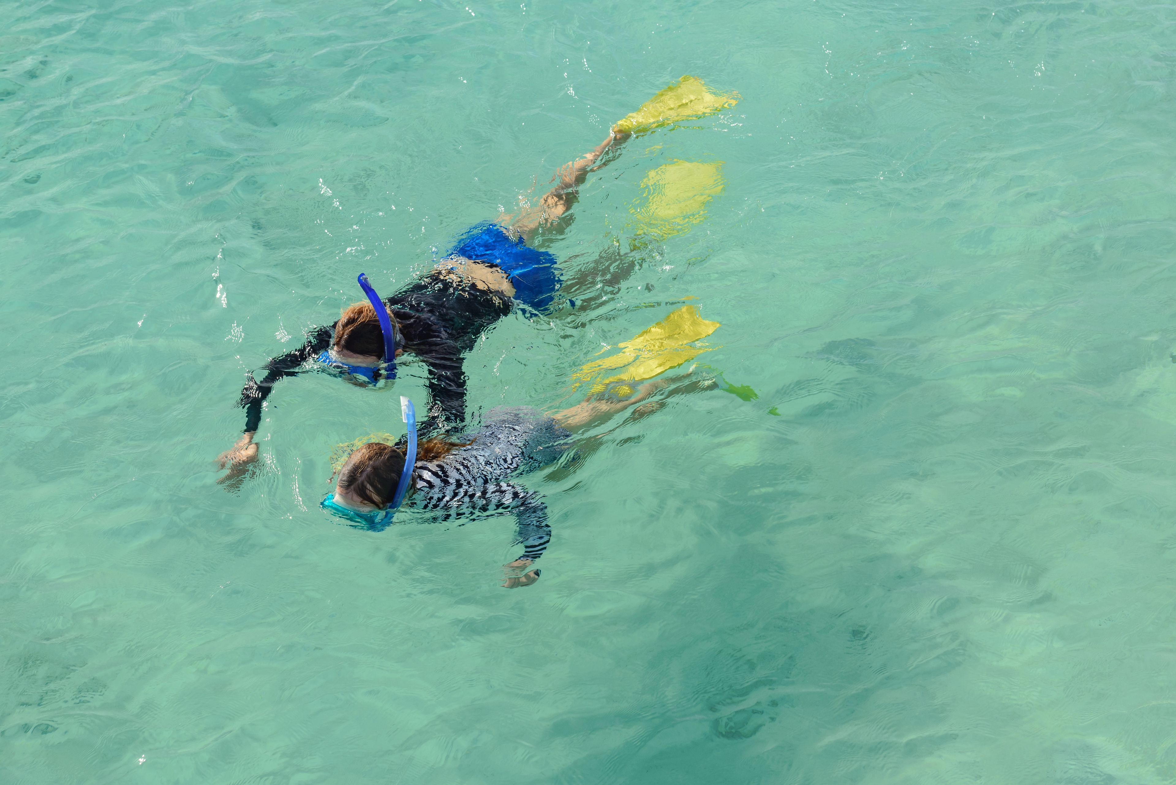 Una persona haciendo snorkel en aguas cristalinas.