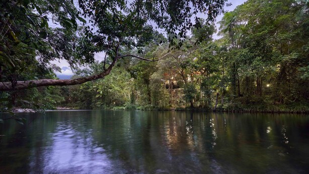 A serene riverside setting with dense foliage and a calm water body reflecting the trees. - Silky Oaks Lodge, Beckons (Finlayvale)