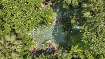 An aerial view of a lush, green landscape with a clear water body surrounded by dense foliage.