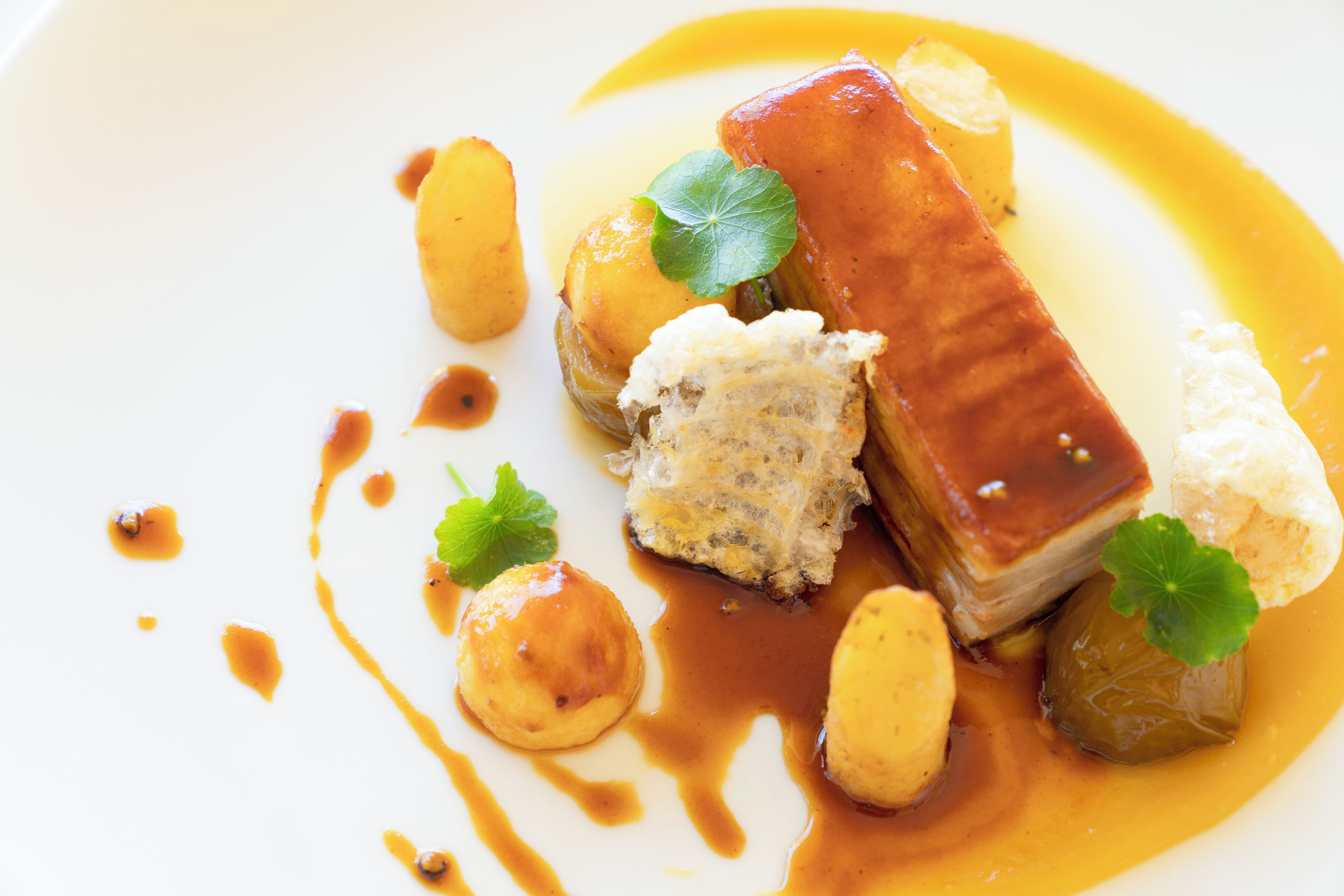 A plate of food with a piece of meat, potatoes, and a sauce.