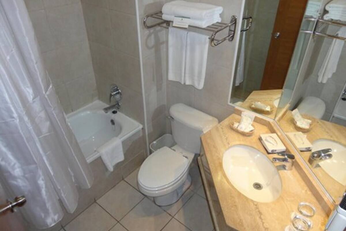 combined shower/bathtub, free toiletries, hair dryer, towels