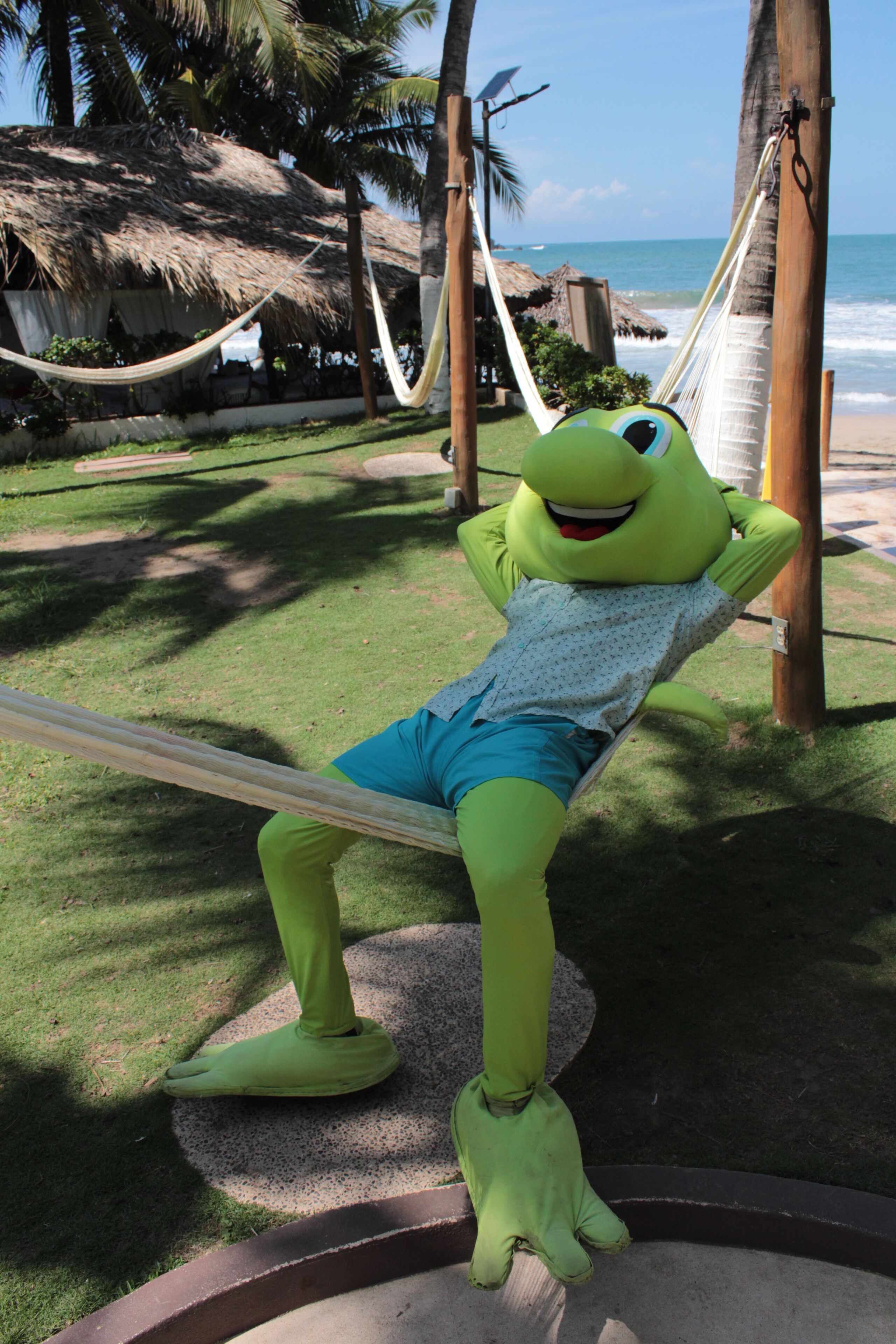 A mascot in a hammock on a grassy area with palm trees and a beach in the background.