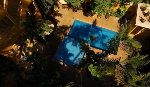 Outdoor pool, pool umbrellas, pool loungers