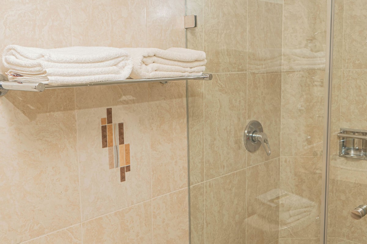 shower, free toiletries, hair dryer, towels