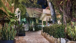 Un sentier pavé de pierres serpente à travers un espace extérieur luxuriant et bien éclairé, agrémenté de diverses plantes et d’une structure en bambou.