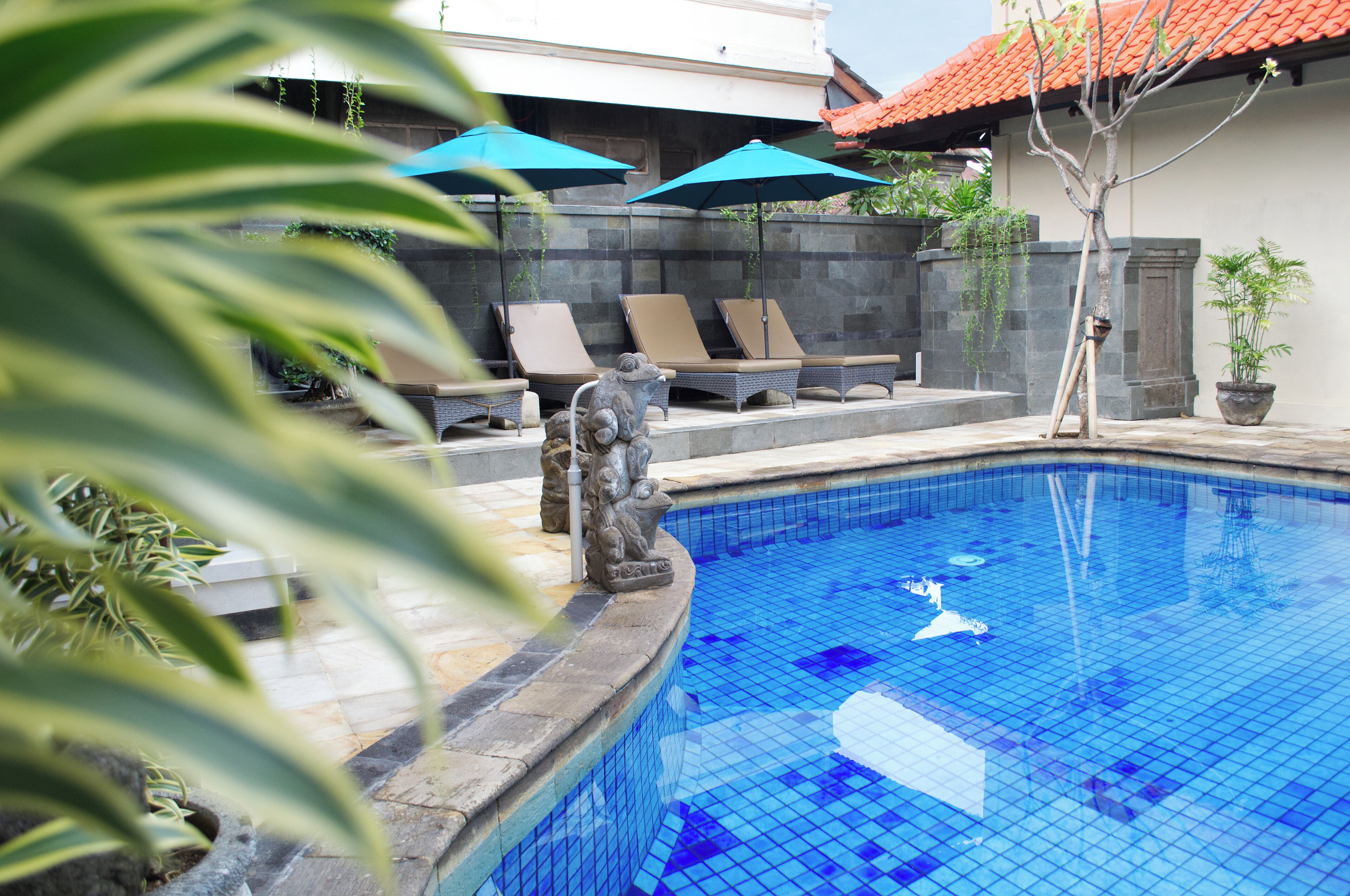 Foto - Hotel Flamboyan