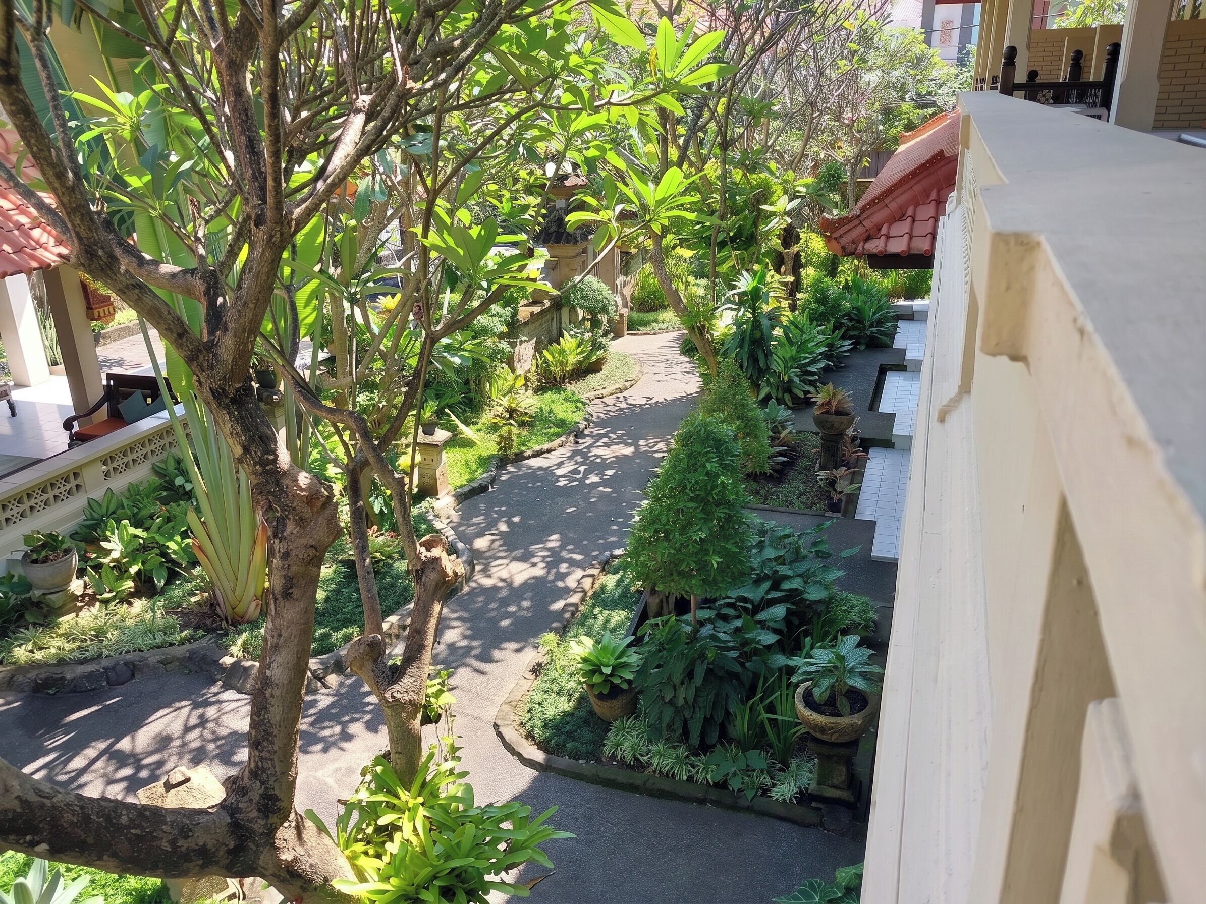 Foto - Hotel Flamboyan