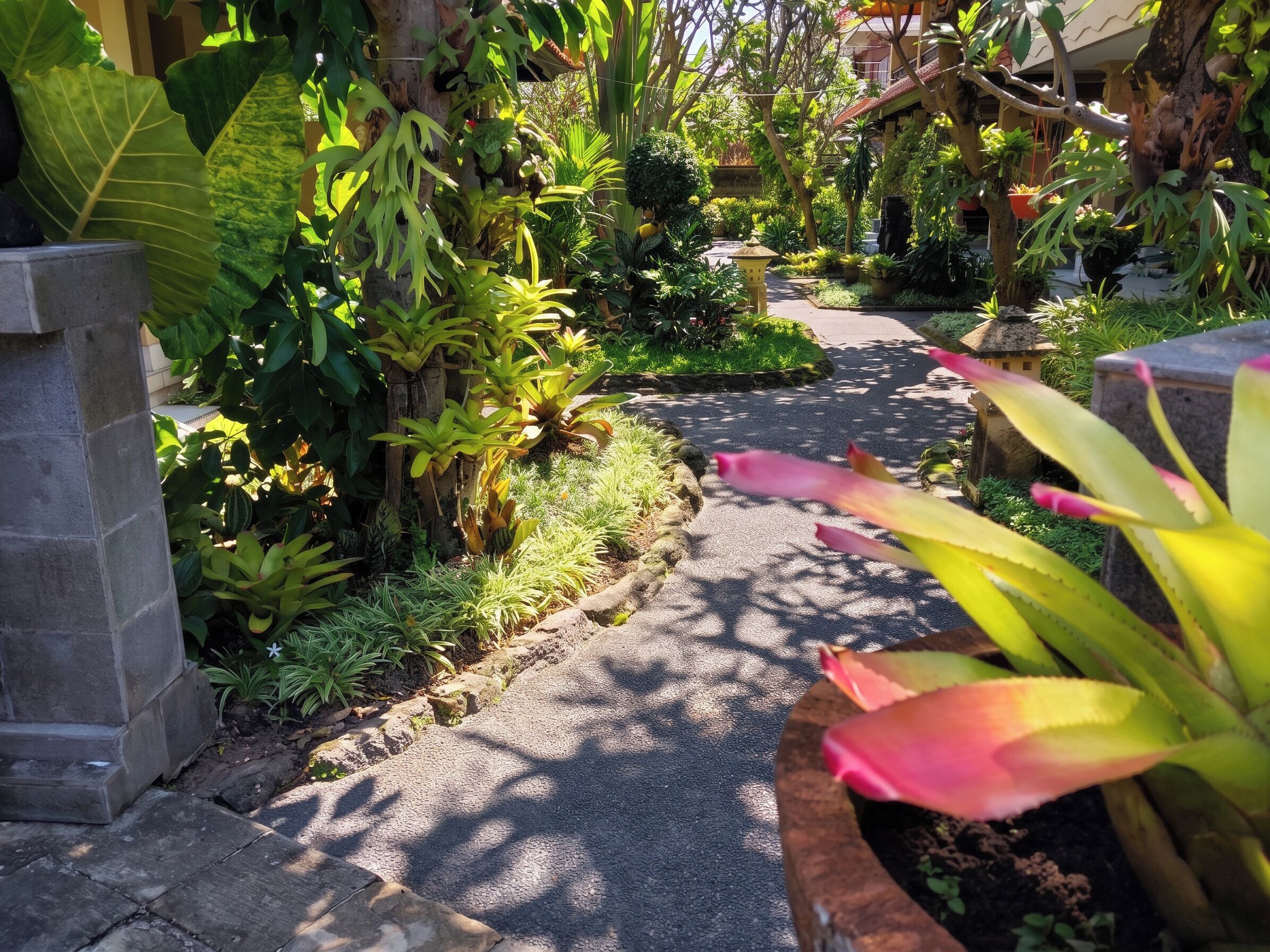 Foto - Hotel Flamboyan
