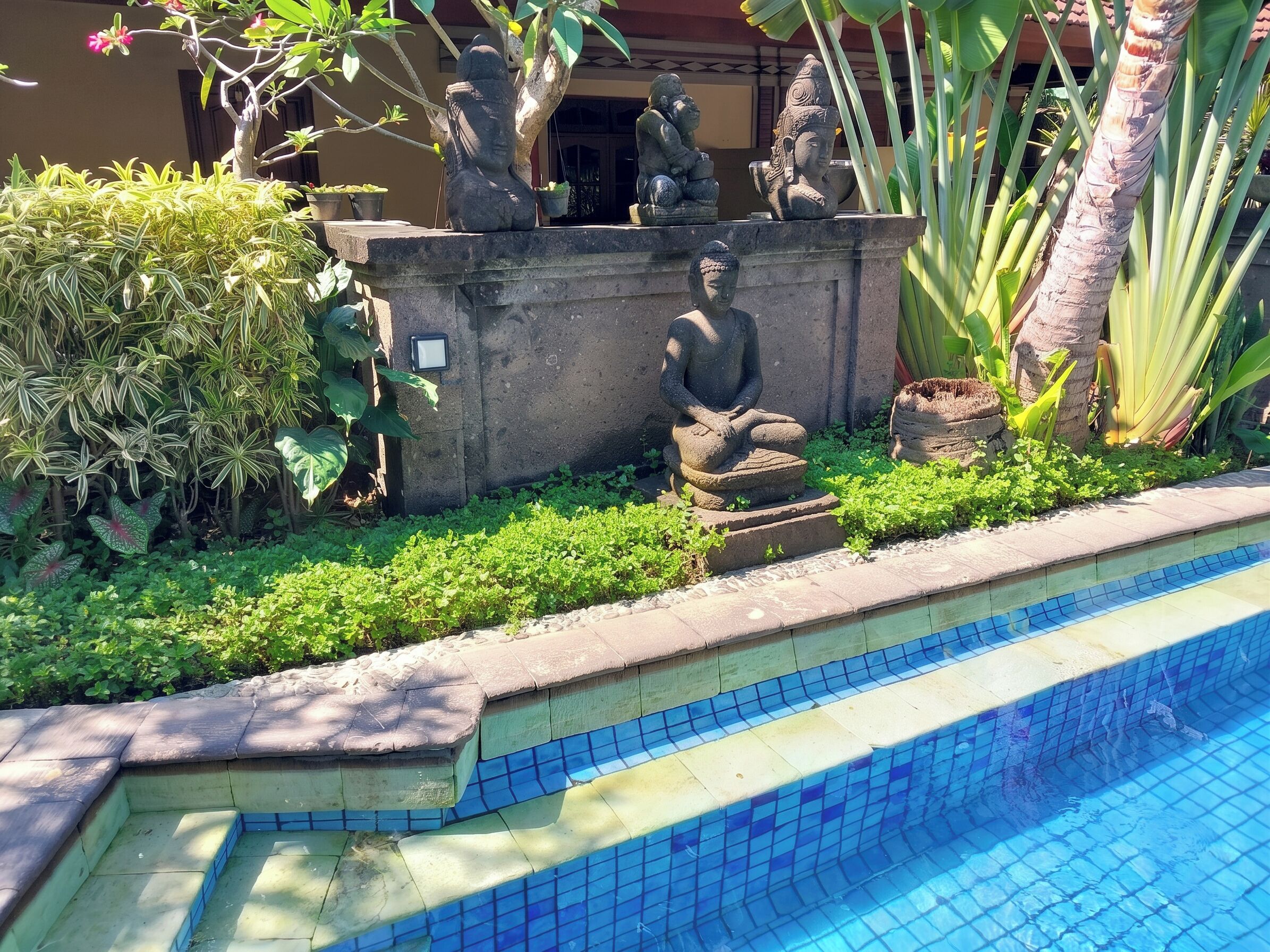 Foto - Hotel Flamboyan