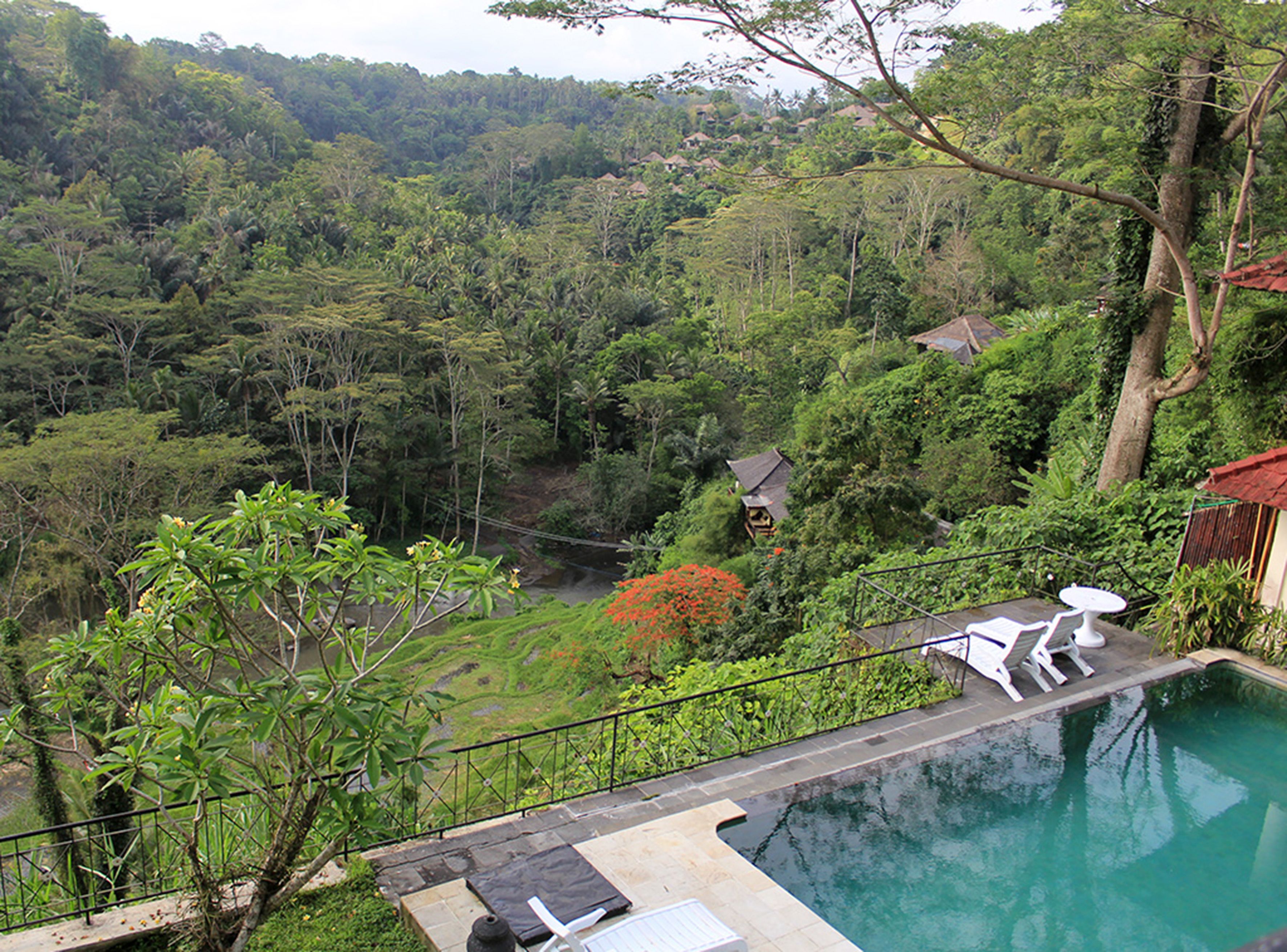 land view from property