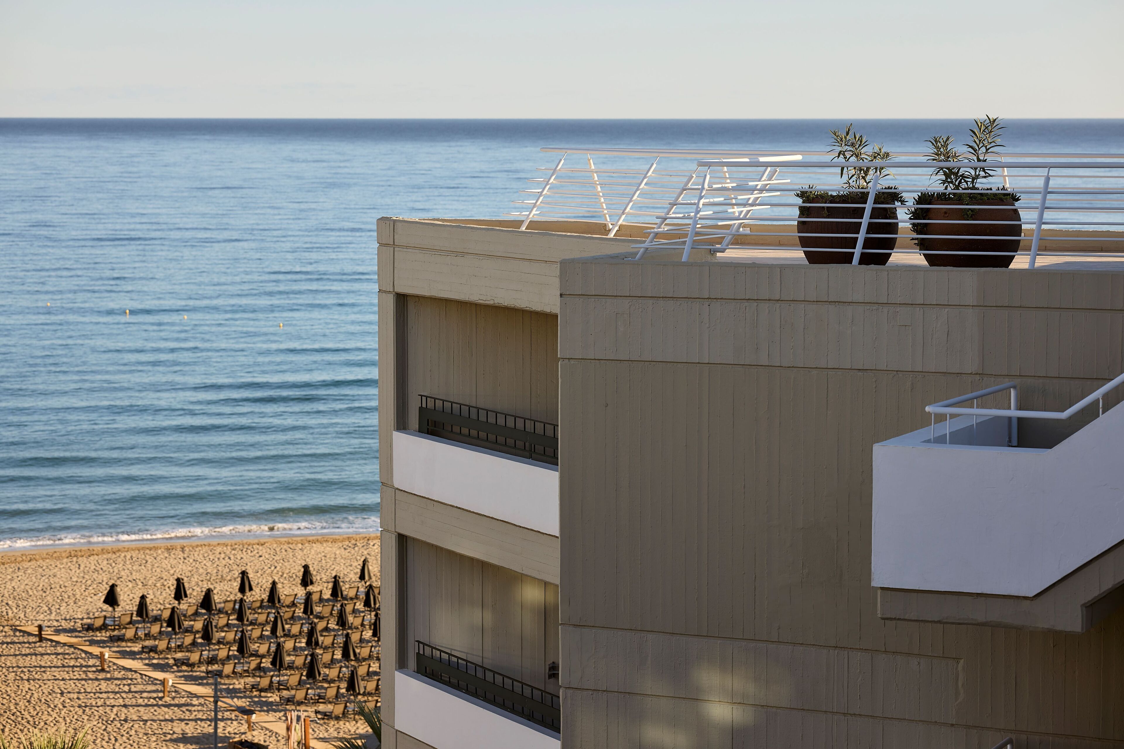 A modern building with a flat roof, two potted plants, and a balcony with a railing.