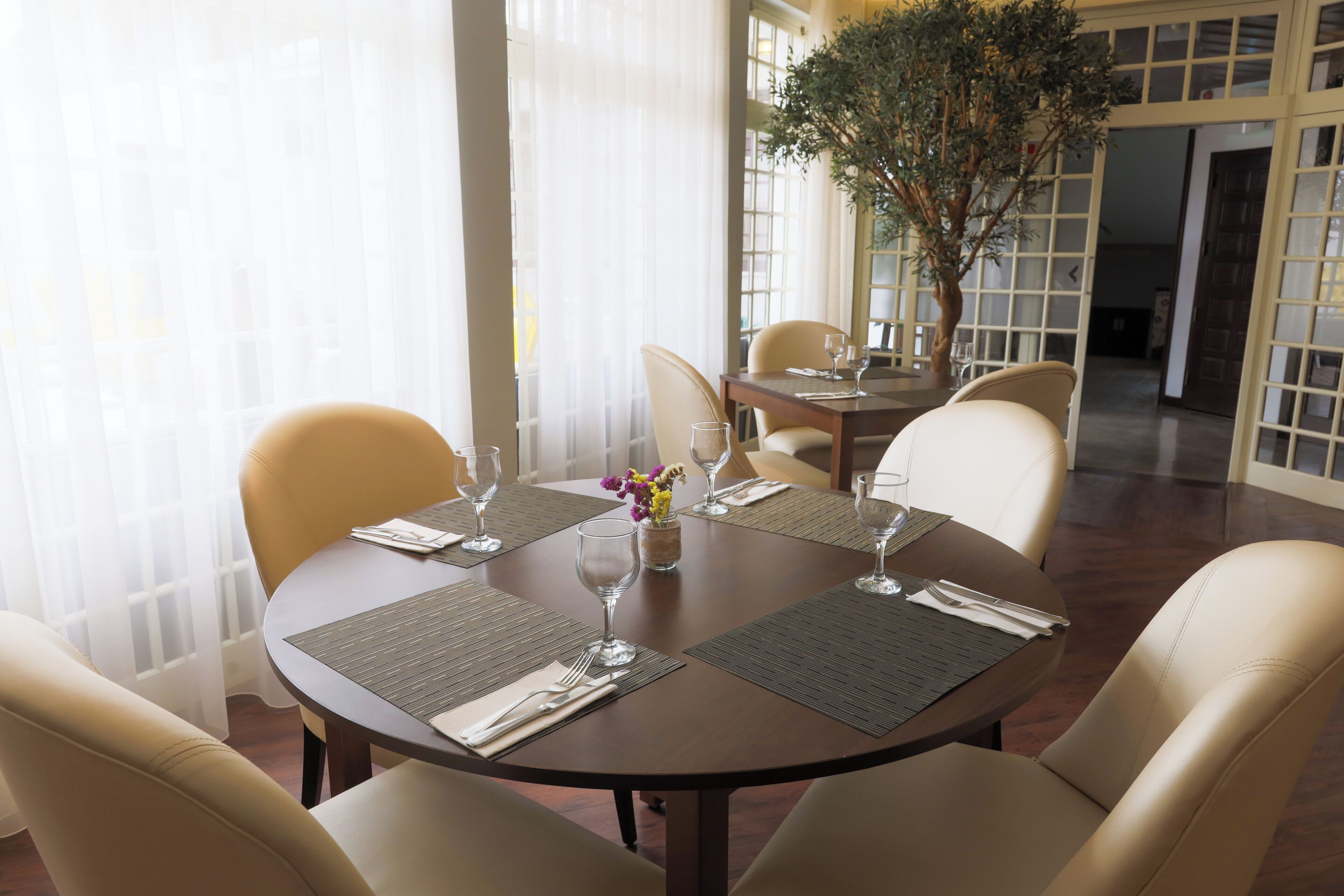 A dining area with round tables, beige chairs, and a potted plant.