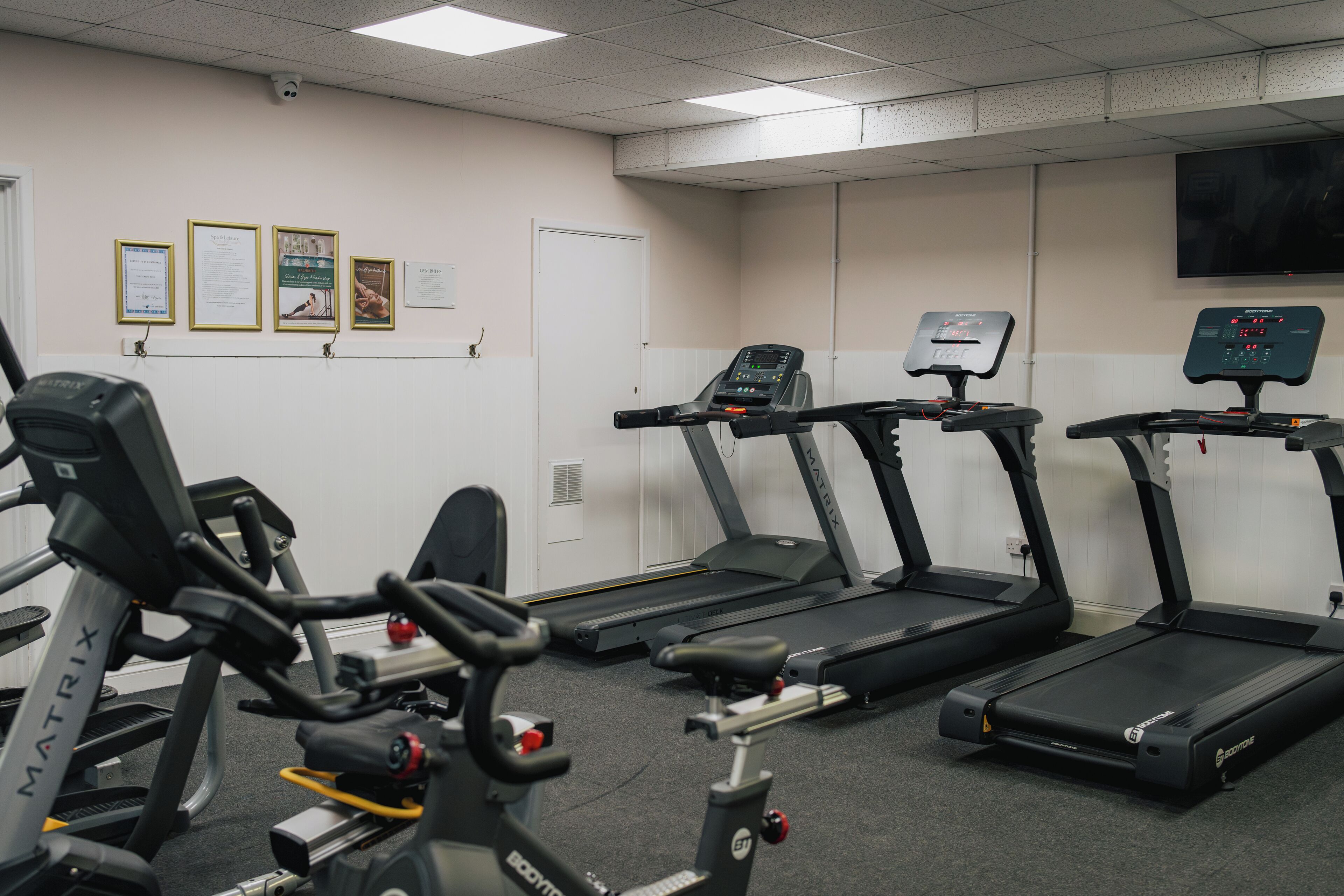 A gym with treadmills, stationary bikes, and weight machines.