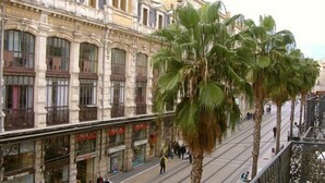 Calle con edificios históricos, palmeras y una línea de tranvía.